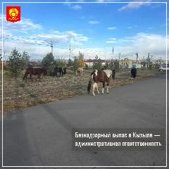 ������� �� ����� ���������� � ������������� ������ ������ ����� ������������� ������ ������������� ������ � �������, ������� �������� ������ �� ������� � �������� �����. 