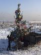 Украшены новогодние елки на правом берегу, Вавилинском затоне и левобережных дачных обществах