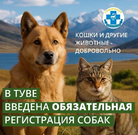 � ���� ��������� ������������ ����������� �������� ��������