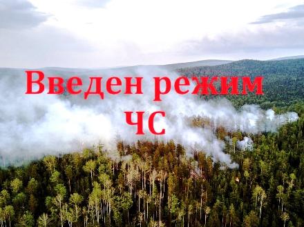 В Туве введен режим ЧС в лесах
